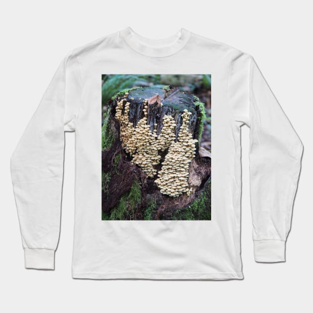 Troops of sulphur tuft mushrooms on a stump Long Sleeve T-Shirt by SDym Photography